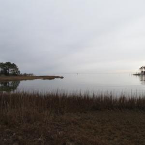 Photo of UNDER CONTRACT!  18  Acres of Waterfront Property For Sale in Mathews County Virginia!