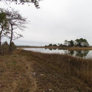 Photo of UNDER CONTRACT!  18  Acres of Waterfront Property For Sale in Mathews County Virginia!