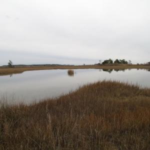 Photo of UNDER CONTRACT!  18  Acres of Waterfront Property For Sale in Mathews County Virginia!