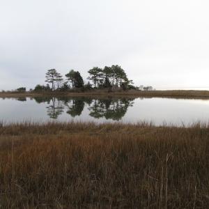 Photo of UNDER CONTRACT!  18  Acres of Waterfront Property For Sale in Mathews County Virginia!