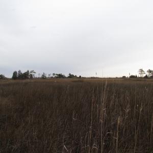 Photo of UNDER CONTRACT!  18  Acres of Waterfront Property For Sale in Mathews County Virginia!