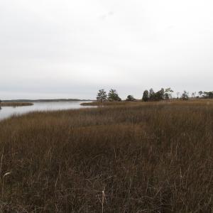 Photo of UNDER CONTRACT!  18  Acres of Waterfront Property For Sale in Mathews County Virginia!