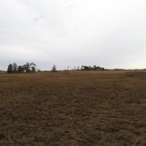Photo of UNDER CONTRACT!  18  Acres of Waterfront Property For Sale in Mathews County Virginia!
