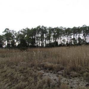 Photo of UNDER CONTRACT!  18  Acres of Waterfront Property For Sale in Mathews County Virginia!