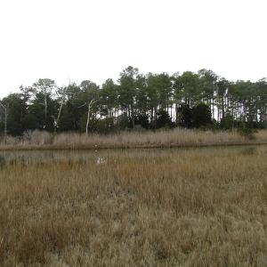 Photo of UNDER CONTRACT!  18  Acres of Waterfront Property For Sale in Mathews County Virginia!