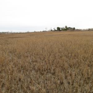 Photo of UNDER CONTRACT!  18  Acres of Waterfront Property For Sale in Mathews County Virginia!