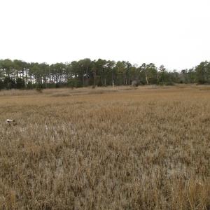 Photo of UNDER CONTRACT!  18  Acres of Waterfront Property For Sale in Mathews County Virginia!