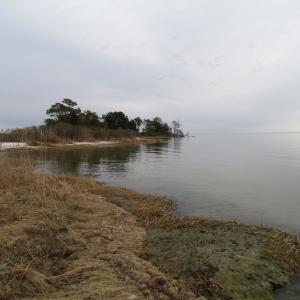 Photo of UNDER CONTRACT!  18  Acres of Waterfront Property For Sale in Mathews County Virginia!
