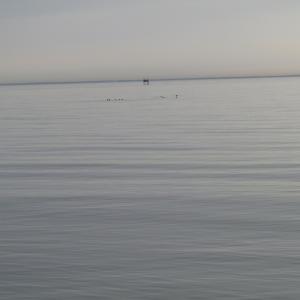Photo of UNDER CONTRACT!  18  Acres of Waterfront Property For Sale in Mathews County Virginia!