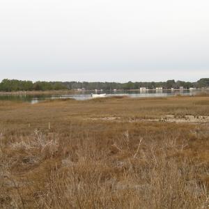 Photo of UNDER CONTRACT!  18  Acres of Waterfront Property For Sale in Mathews County Virginia!