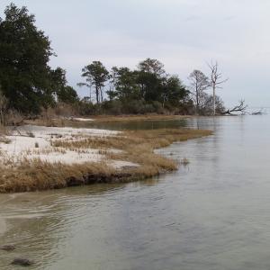 Photo of UNDER CONTRACT!  18  Acres of Waterfront Property For Sale in Mathews County Virginia!