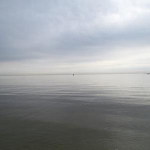 Photo of UNDER CONTRACT!  18  Acres of Waterfront Property For Sale in Mathews County Virginia!