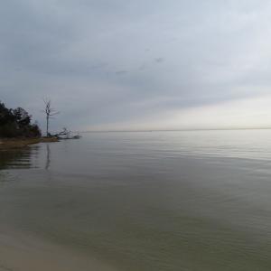 Photo of UNDER CONTRACT!  18  Acres of Waterfront Property For Sale in Mathews County Virginia!
