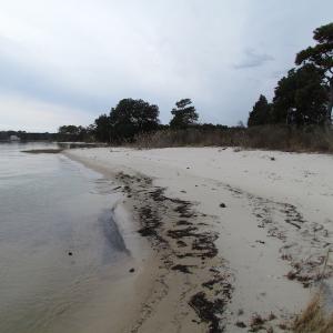Photo of UNDER CONTRACT!  18  Acres of Waterfront Property For Sale in Mathews County Virginia!