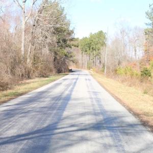 Photo of UNDER CONTRACT!  20.5 Acres of Residential and Hunting Land For Sale in Greensville County VA!