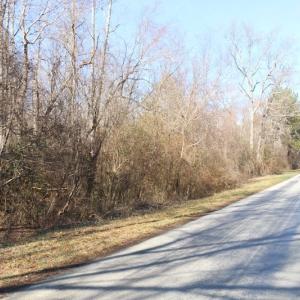 Photo of UNDER CONTRACT!  20.5 Acres of Residential and Hunting Land For Sale in Greensville County VA!