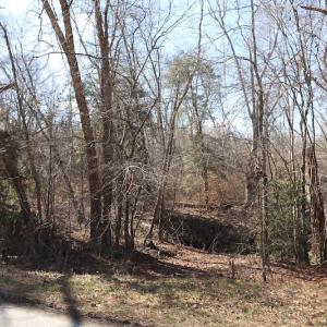 Photo of UNDER CONTRACT!  20.5 Acres of Residential and Hunting Land For Sale in Greensville County VA!