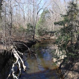 Photo of UNDER CONTRACT!  20.5 Acres of Residential and Hunting Land For Sale in Greensville County VA!
