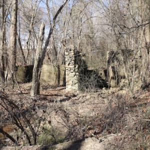 Photo of UNDER CONTRACT!  20.5 Acres of Residential and Hunting Land For Sale in Greensville County VA!
