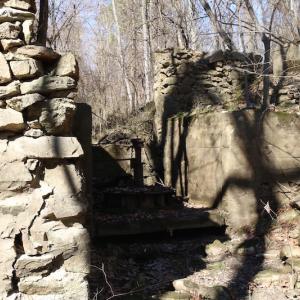 Photo of UNDER CONTRACT!  20.5 Acres of Residential and Hunting Land For Sale in Greensville County VA!