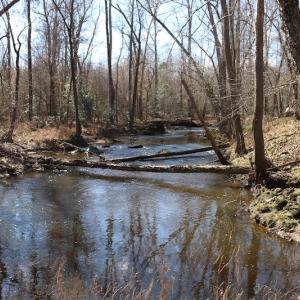 Photo of UNDER CONTRACT!  20.5 Acres of Residential and Hunting Land For Sale in Greensville County VA!