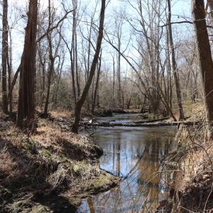 Photo of UNDER CONTRACT!  20.5 Acres of Residential and Hunting Land For Sale in Greensville County VA!