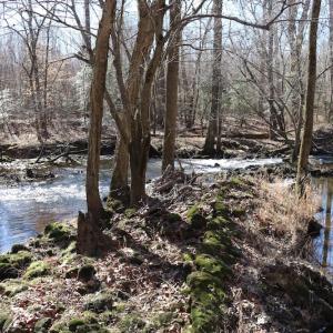 Photo of UNDER CONTRACT!  20.5 Acres of Residential and Hunting Land For Sale in Greensville County VA!