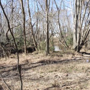 Photo of UNDER CONTRACT!  20.5 Acres of Residential and Hunting Land For Sale in Greensville County VA!