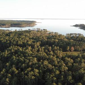 Photo of UNDER CONTRACT!  3.76 Acres of Waterfront Land For Sale In Beaufort County NC!