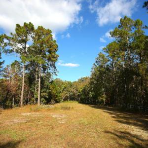Photo of UNDER CONTRACT!  3.76 Acres of Waterfront Land For Sale In Beaufort County NC!
