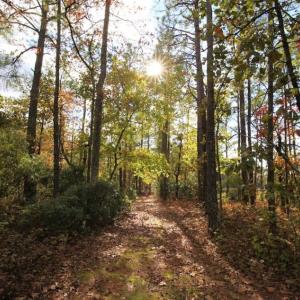 Photo of UNDER CONTRACT!  3.76 Acres of Waterfront Land For Sale In Beaufort County NC!