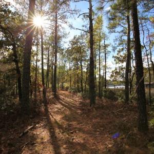 Photo of UNDER CONTRACT!  3.76 Acres of Waterfront Land For Sale In Beaufort County NC!