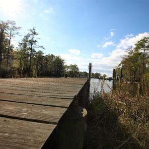 Photo of UNDER CONTRACT!  3.76 Acres of Waterfront Land For Sale In Beaufort County NC!
