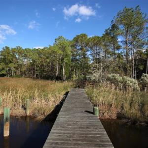 Photo of UNDER CONTRACT!  3.76 Acres of Waterfront Land For Sale In Beaufort County NC!