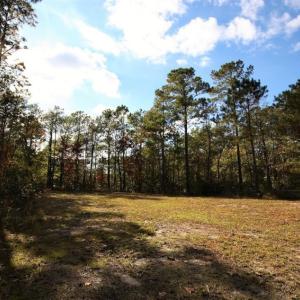 Photo of UNDER CONTRACT!  3.76 Acres of Waterfront Land For Sale In Beaufort County NC!