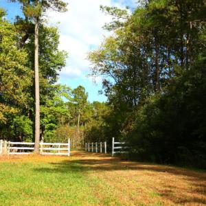 Photo of UNDER CONTRACT!  3.76 Acres of Waterfront Land For Sale In Beaufort County NC!