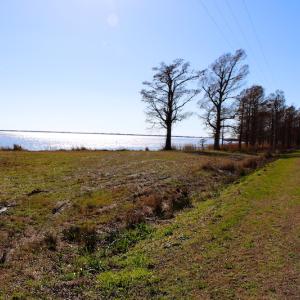 Photo of UNDER CONTRACT!  1.05 Acre Waterfront Lot For Sale in Hyde County NC!