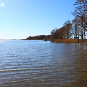 Photo of UNDER CONTRACT!  1.05 Acre Waterfront Lot For Sale in Hyde County NC!