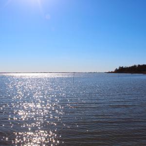 Photo of UNDER CONTRACT!  1.05 Acre Waterfront Lot For Sale in Hyde County NC!