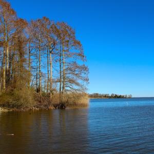 Photo of UNDER CONTRACT!  1.05 Acre Waterfront Lot For Sale in Hyde County NC!