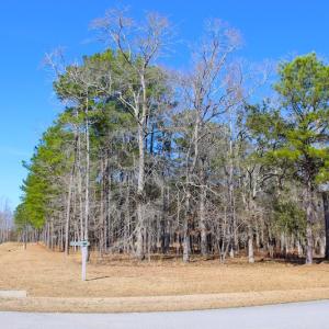 Photo of UNDER CONTRACT!  0.52 Acre Residential Lot For Sale in Pamlico County NC!