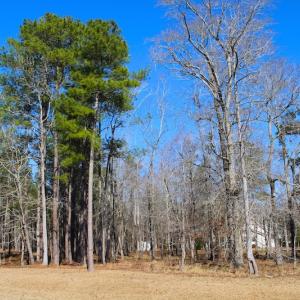 Photo of UNDER CONTRACT!  0.52 Acre Residential Lot For Sale in Pamlico County NC!