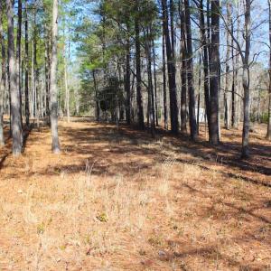 Photo of UNDER CONTRACT!  0.52 Acre Residential Lot For Sale in Pamlico County NC!