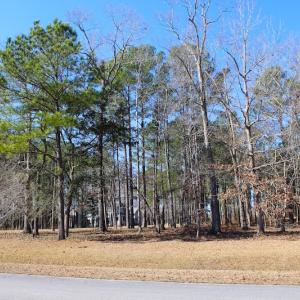 Photo of UNDER CONTRACT!  0.52 Acre Residential Lot For Sale in Pamlico County NC!