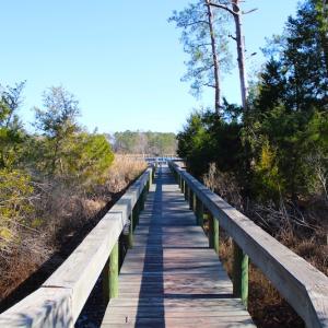 Photo of UNDER CONTRACT!  0.52 Acre Residential Lot For Sale in Pamlico County NC!