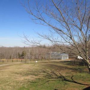 Photo of SOLD!!  35 Acres of Farm and Residential Land For Sale in Charlotte County VA!