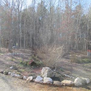 Photo of SOLD!!  35 Acres of Farm and Residential Land For Sale in Charlotte County VA!