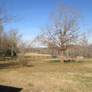 Photo of SOLD!!  35 Acres of Farm and Residential Land For Sale in Charlotte County VA!