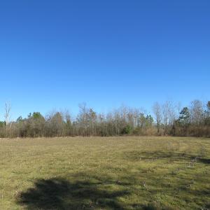 Photo of SOLD!  50 Acres of Farm and Timber Land For Sale in Cumberland County NC!