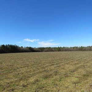 Photo of SOLD!  50 Acres of Farm and Timber Land For Sale in Cumberland County NC!